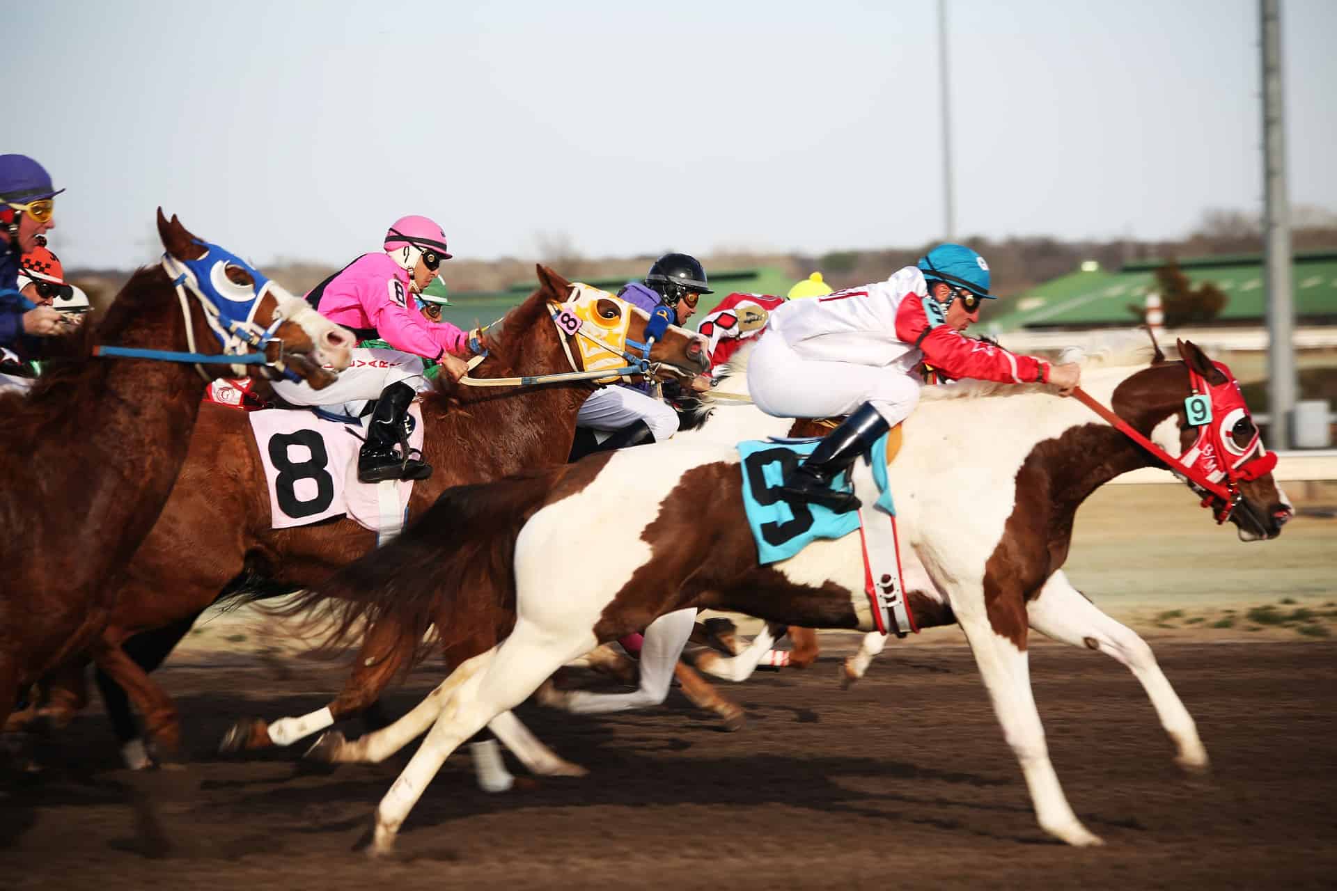 What are the best horse racing events to attend?